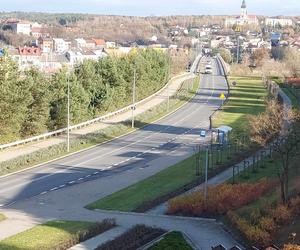 Z terenu os.Trzech Krzyży skradziono sadzonki szałwii i jałowca