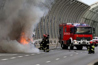 Pożary samochodów elektrycznych. Straż ujawnia dane, skala jest zaskakująca  