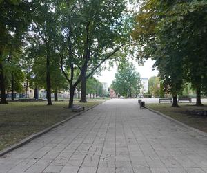 Plac Mordechaja Tenenbauma. To część Skweru przy Żabiej w Białymstoku