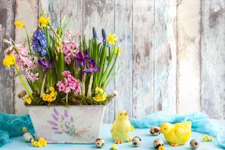 Jak ozdobić dom na wiosnę? Kompozycje z wiosennych kwiatów idealne na Wielkanoc