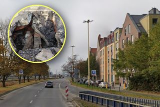 Wyglądało jak awaria wodociągu. Pod zapadniętą jezdnią natrafili na niespodziankę