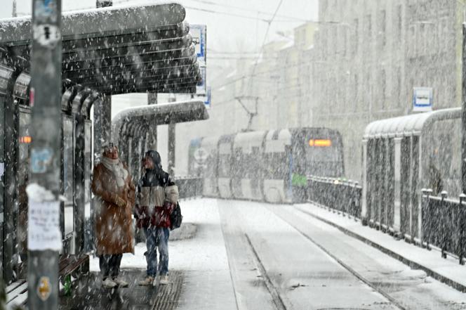 Atak zimy w Polsce. Śnieg przykrył polskie miasta [ZDJĘCIA]