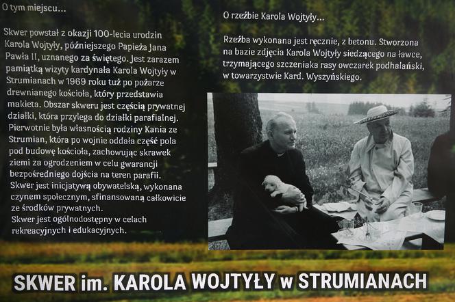 Proboszcz chce usunąć papieża