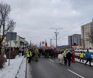 Orszak Trzech Króli w Elblągu