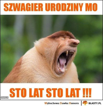Memy na Dzień Szwagra 