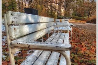 Wyjątkowa zimowa aura w Parku Wilsona w Poznaniu