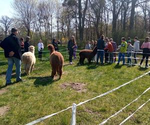 II Grudziądzki Piknik Naukowy