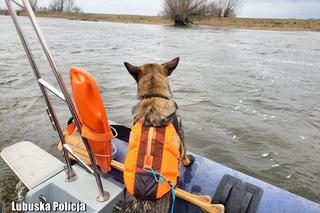Lubuskie. Zaginęło trzech młodych mężczyzn. 26-letni Marek znaleziony martwy [ZDJĘCIA].