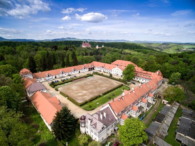 Zawalił się fragment muru przy Zamku Książ w Wałbrzychu