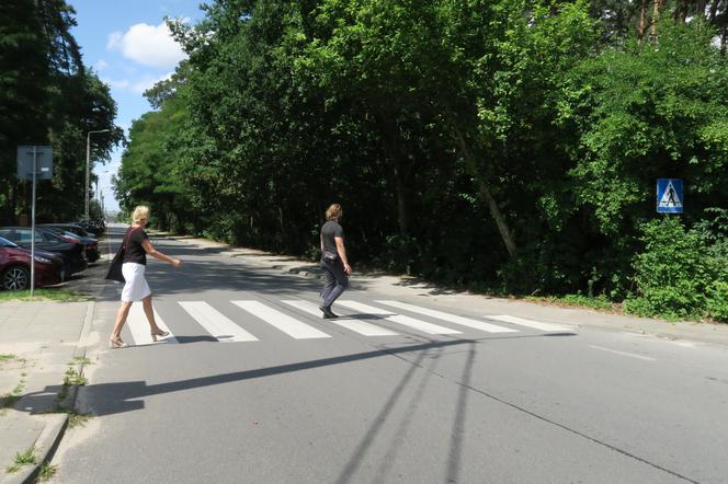 Kalisz i powiat przebudują przejścia dla pieszych. Ma być bezpieczniej