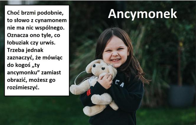 Oto najdziwniejsze wyrazy, które znajdują się w słowniku języka polskiego
