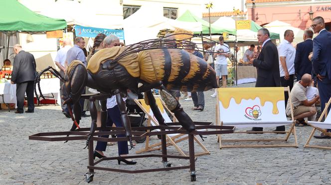 Miasto miodem płynące! Tak świętowali pszczelarze w Lublinie! Zobacz 