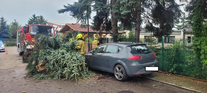 Nawałnica w woj. śląskim. Interweniują strażacy