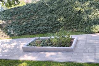 Ogród sensoryczny w Parku Strzeleckim