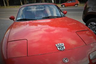 Może jest prawdziwy? [ZDJĘCIA DNIA]