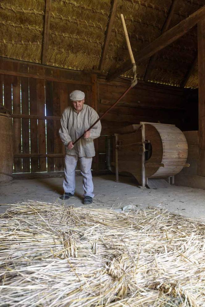 Kosy pójdą w ruch! W lubelskim skansenie w niedzielę będą żniwa