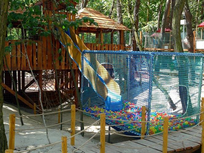 Park Dolina Wkry w Pomiechówku - spacer w koronach drzew, place zabaw, plaża