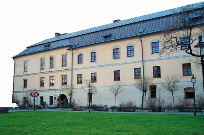 Najstarsze muzeum publiczne w Polsce znajduje się w województwie śląskim.