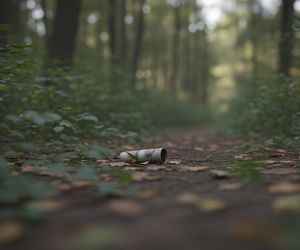 Jutro wielkie sprzątanie słupskiego lasu