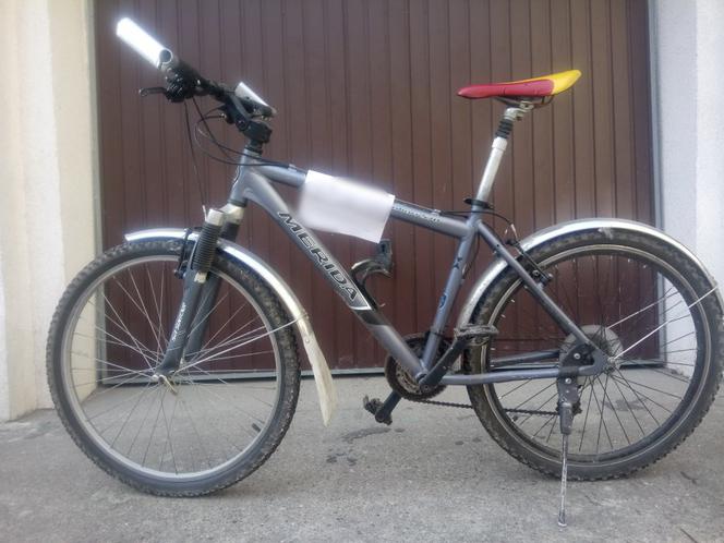 Rozpoznajesz swój rower?