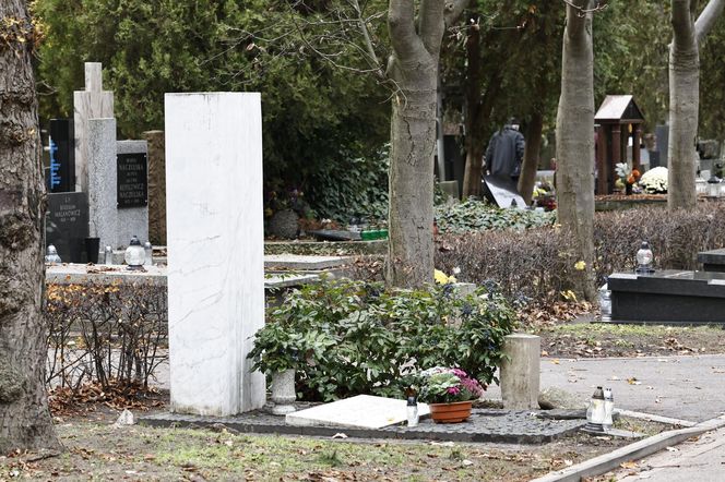 Tak wyglądają groby Zapasiewicza, Tyma, Kołaczkowskiej, Stoparczyk