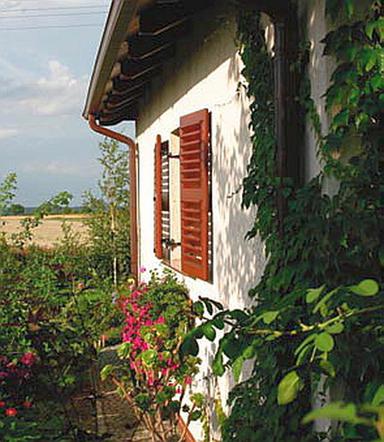Budowa domu energooszczędnego - katalog ekologicznych możliwości