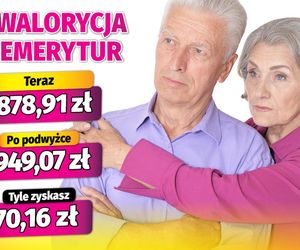 waloryzacja emerytur 3,73 proc