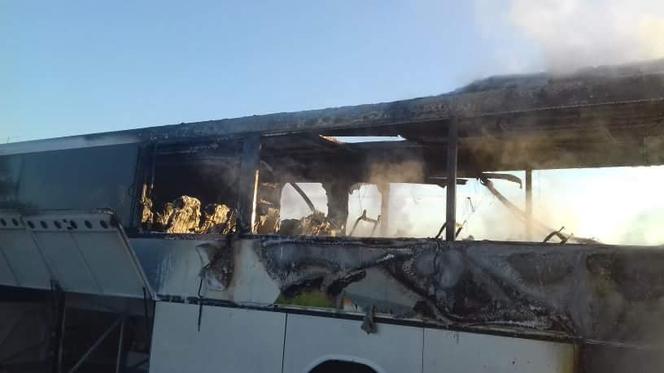 Pożar autobusu niedaleko Koronowa! Ewakuowano aż 35 osób! [ZDJĘCIA]