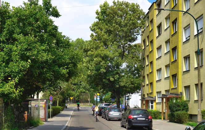 Dzielnica Krowodrza, Kraków