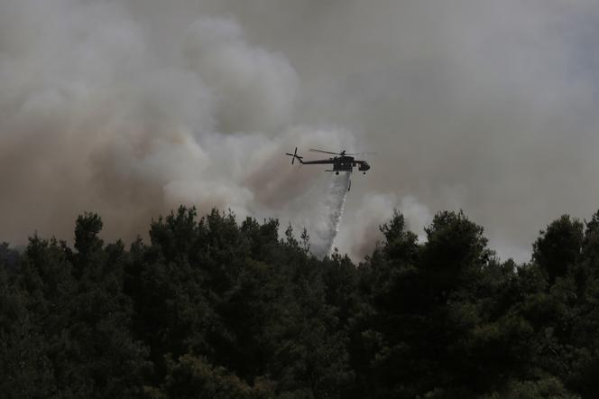 POŻARY w GRECJI - polscy strażacy pojadą walczyć z żywiołem
