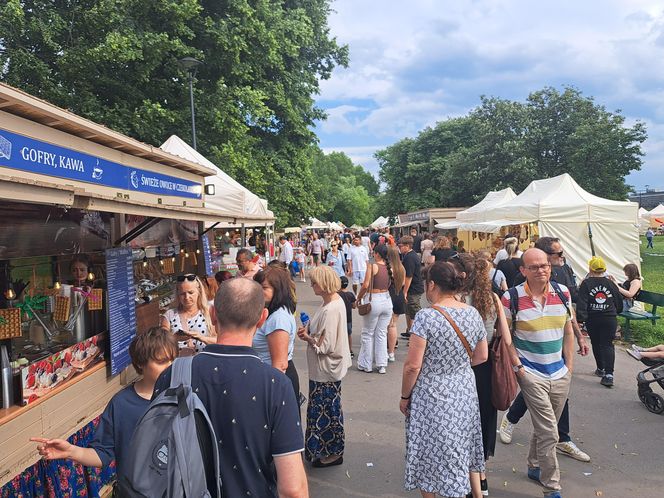 Smoczy Piknik Rodzinny 2025 w Krakowie