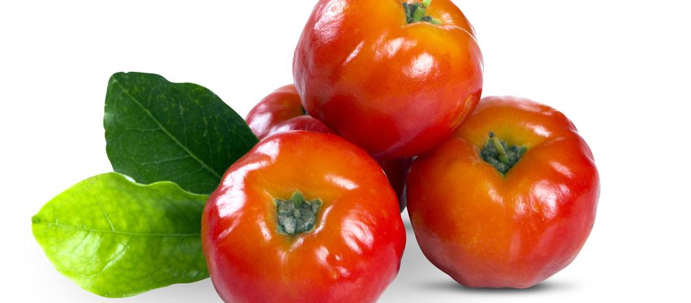 Acerola ma wyjątkowe właściwości odżywcze. Zawiera bowiem najwięcej witaminy C ze wszystkich owoców - ponad 30 razy więcej niż słynące z niej cytryny.