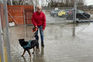 Dzień otwarty w schronisku dla zwierząt w Nowym Sączu