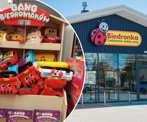 Gang Biedroniaków już w Biedronce!