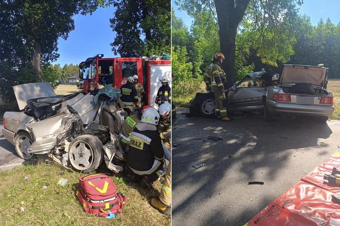 Wypadek pod Pabianicami. Mercedes rozpadł się na pół po uderzeniu w drzewo [ZDJĘCIA].