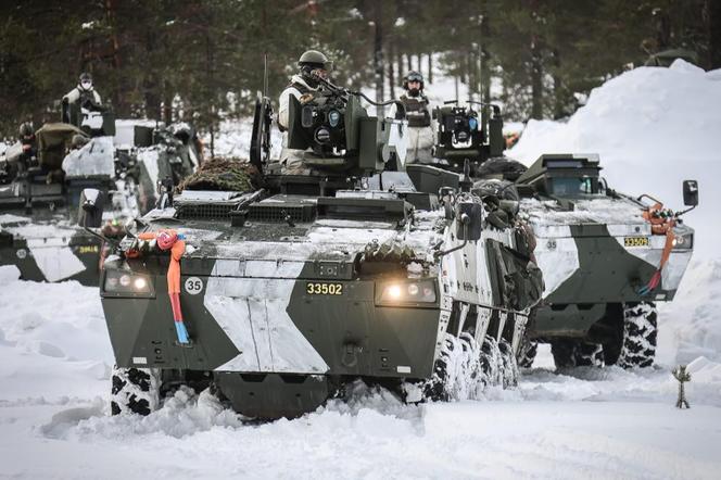 Siły Zbrojne Szwecji 