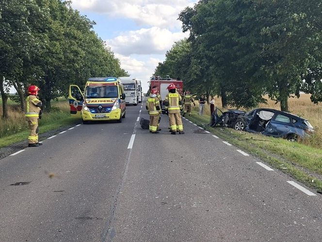 Zderzenie czołowe dwóch pojazdów na DK 19 w Łosicach. Są osoby poszkodowane!