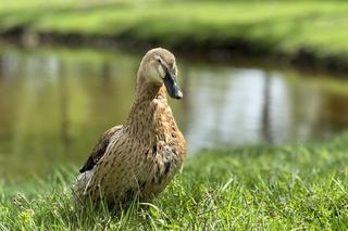 To wyjątkowe miejsce na Podkarpaciu