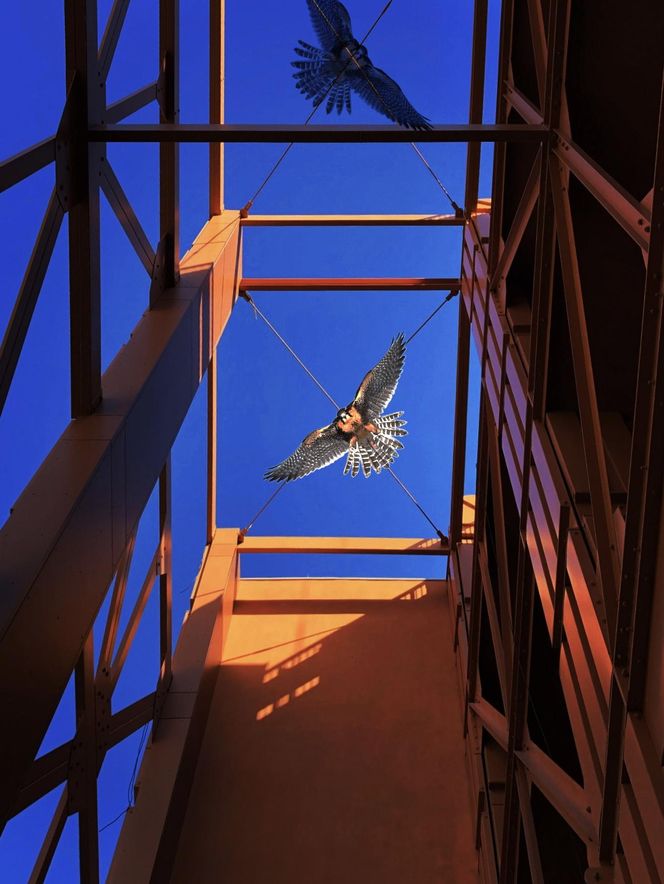 Słoneczne Tarasy, Kilińskiego 12 w Łodzi