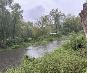 Nawalne opady deszczu. Alert RCB dla 5 województw