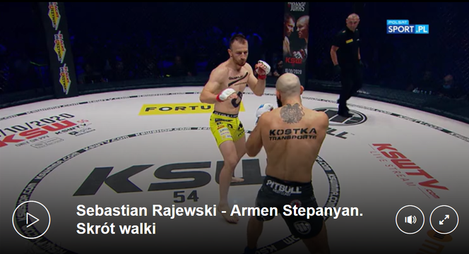 Skrót walki Rajewski - Stepanyan