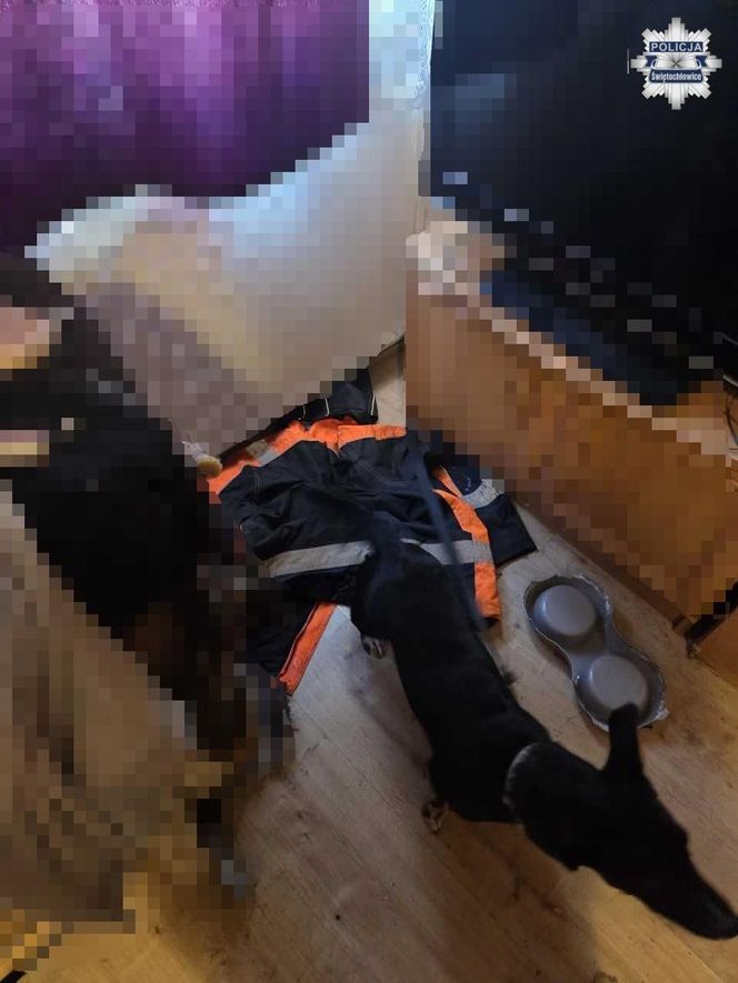 22-latek znęcał się nad psem