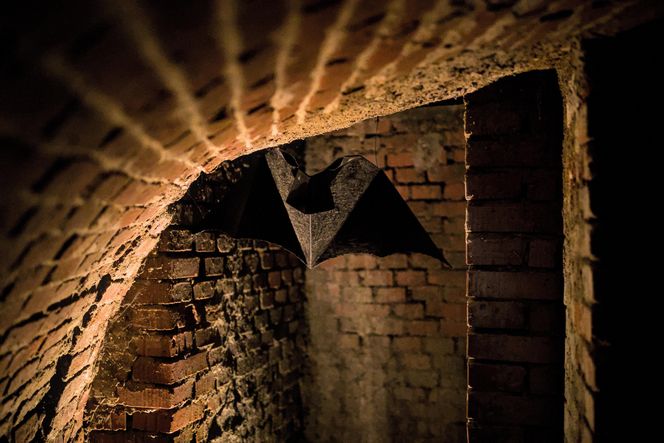 „Morawski Manchester” leży zaledwie kilka godziny drogi z Małopolski. Ma drugie największe katakumby w Europie