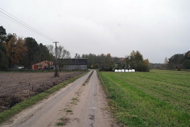 "To był istny armagedon". Teresa z Podlasia przeżyła horror. Bandyci wtargnęli do jej domu