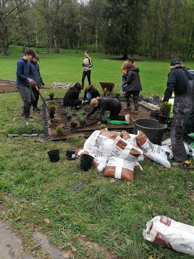 Powstaje Aleja Miast Partnerskich