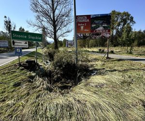 Stronie Śląskie strażacy szukają ludzi w samochodach i budynkach