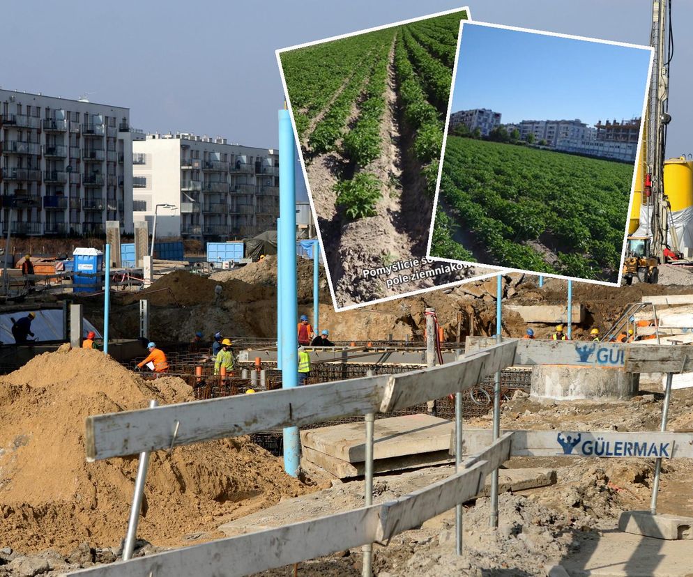 Nowa stacja metra w Warszawie. Obok rośnie pole ziemniaków