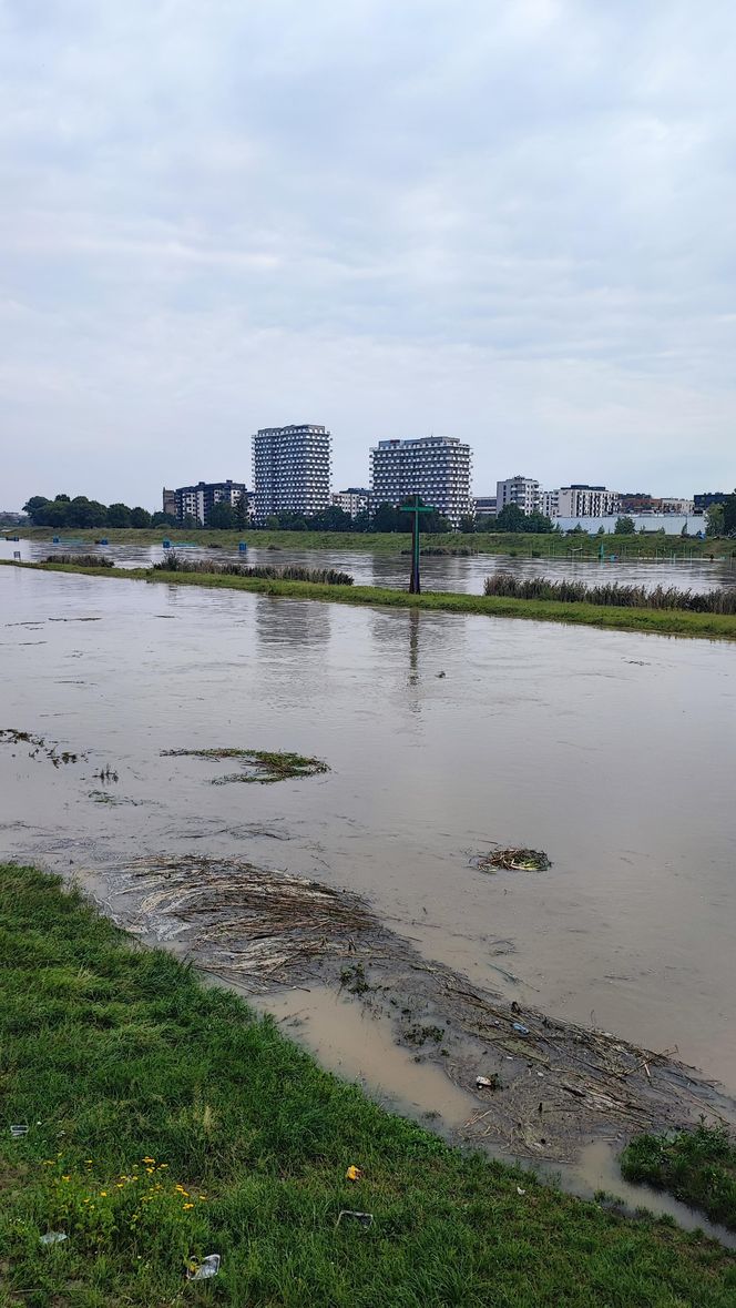 Fala powodziowa we Wrocławiu. Pod wodą są już beach bary i drogi 