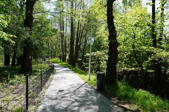 Tak wygląda park w dolinie Ślepiotki w Katowicach