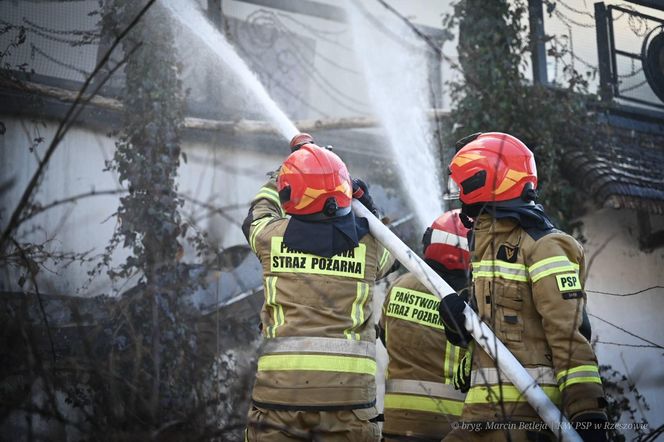 Pożar Wilczej Jamy w Bieszczadach